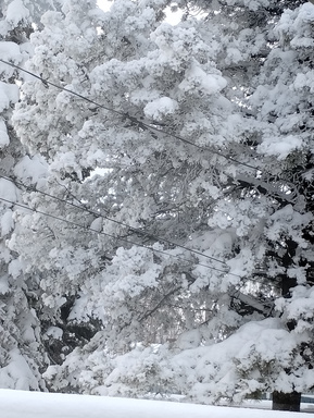 Destiny is written Poetry.