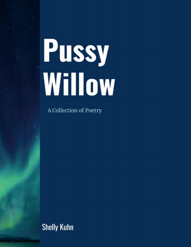 Pussy Willow