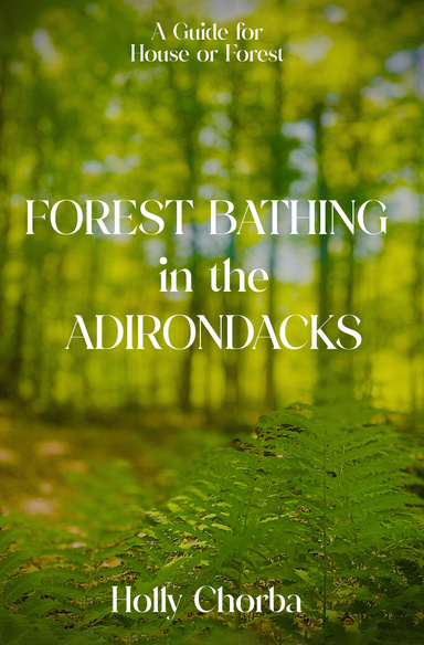 FOREST BATHING in the ADIRONDACKS