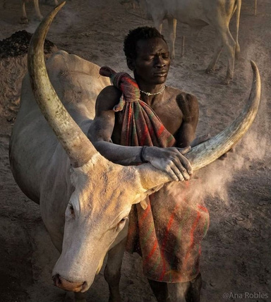 Legends of Arclana: The Rise of a Warrior