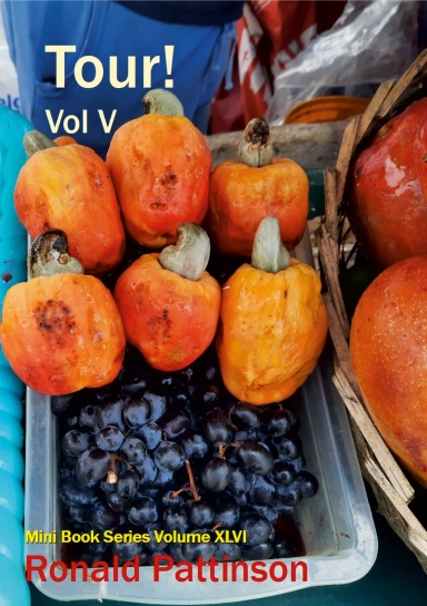 Tour! Vol.  5