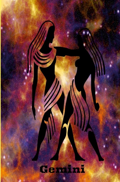 Gemini Multi