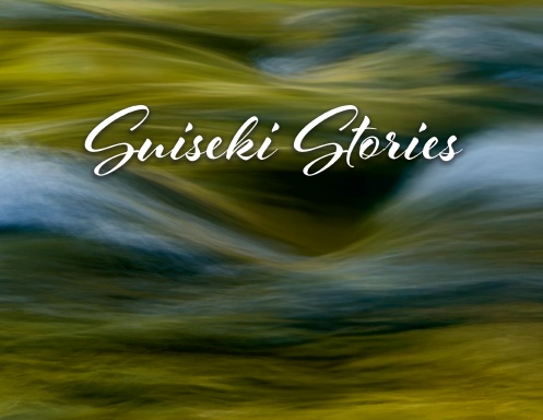 Suiseki Stories