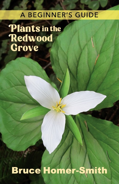 Plants in the Redwood Grove: A Beginner's Guide [Book]