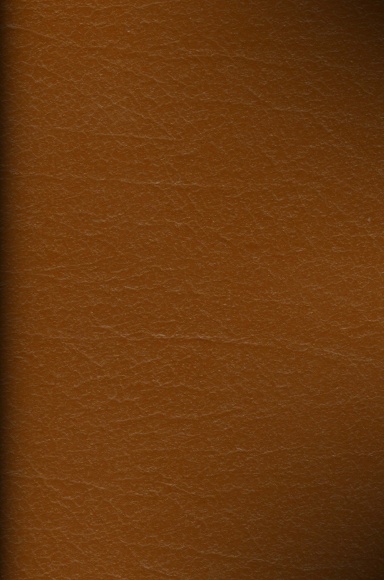(just) E.G. Lined Journal with Index (Leather Look)