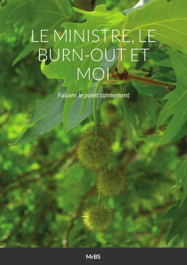LE MINISTRE, LE BURN-OUT ET MOI