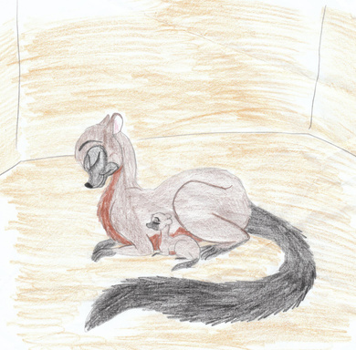 The Lemur And The Mermaid