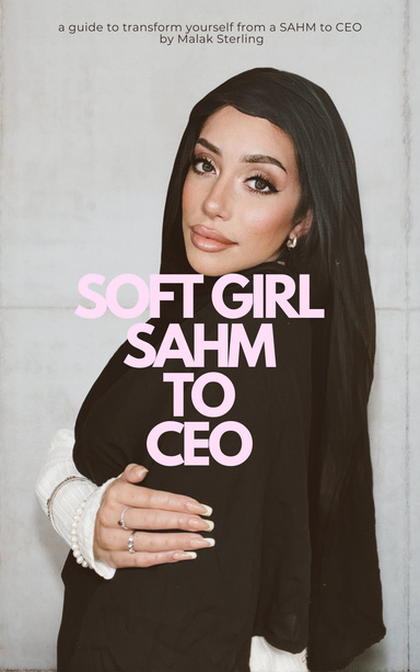 SOFT GIRL SAHM to CEO