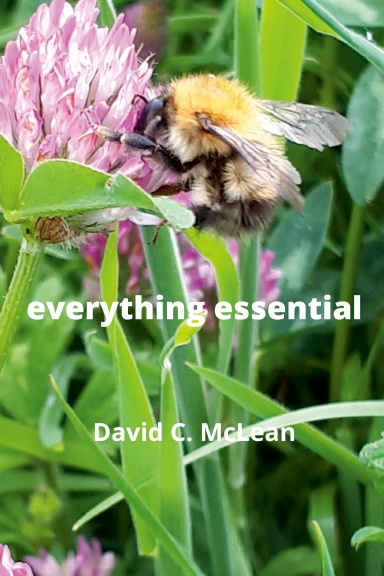 everything essential