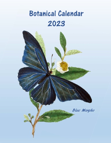2023 Calendar Planner