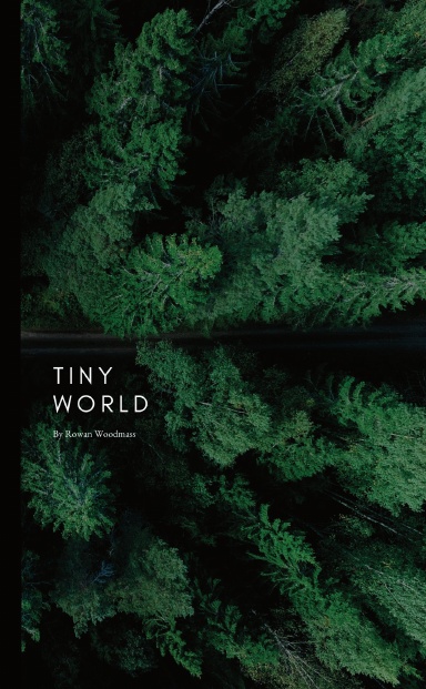 Tiny World