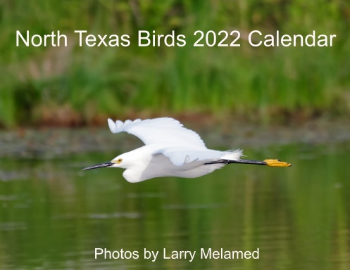 North Texas Birds 2022 Calendar
