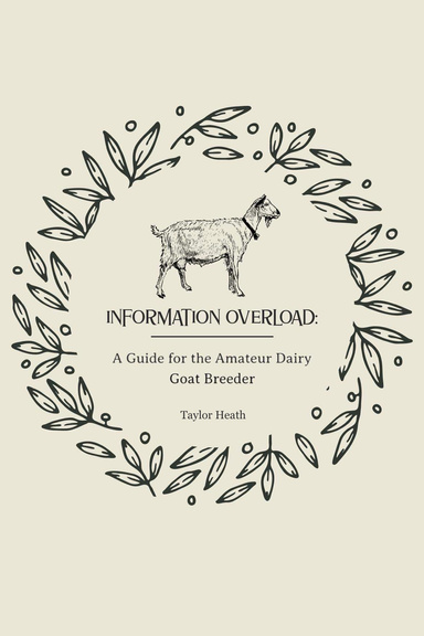 Information Overload: