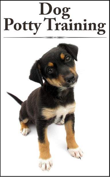 DOG POTTY TRAINING