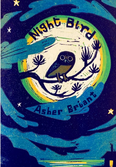 Night Bird (hardcover)