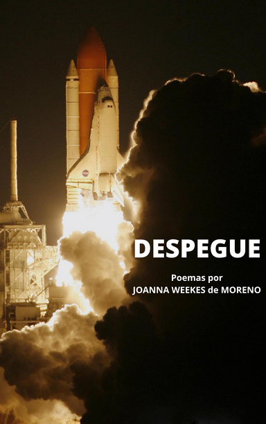 DESPEGUE