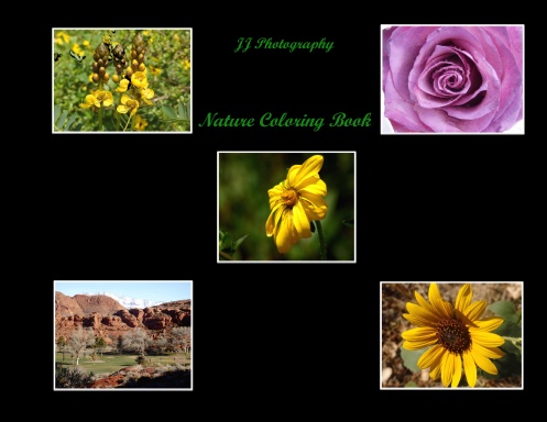 JJ Photography Nature Coloring Book