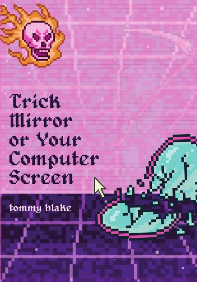 Trick Mirror or Your Computer Screen