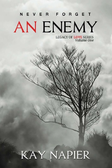 Never Forget An Enemy