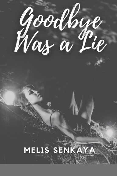Goodbye Was a Lie