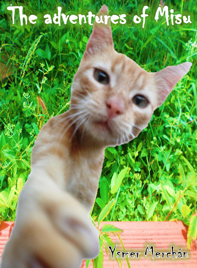 The adventures of Misu