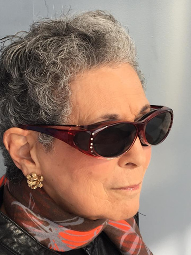 Image of Author Karen N. Master