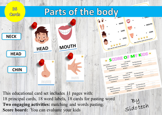 Parts of the body flashcards