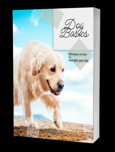 dog basics