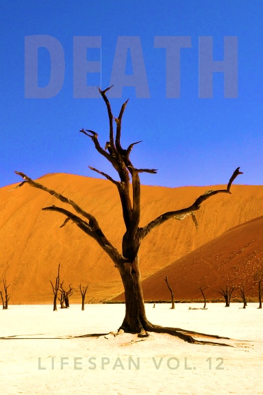 Death Lifespan Vol. 12