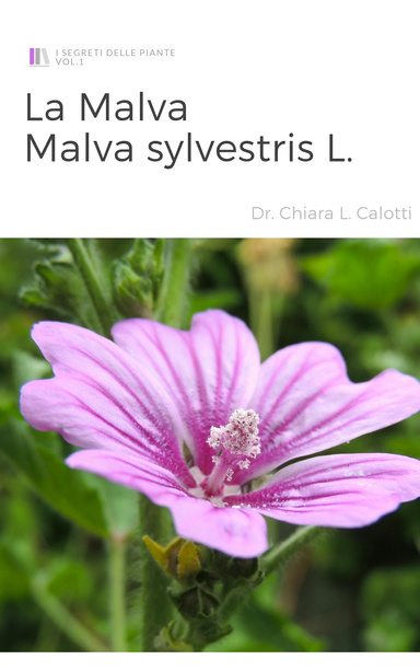 I segreti delle piante: Malva sylvestris