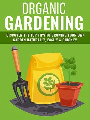 The Most Important Thing That's Probably Missing From Your Backyard