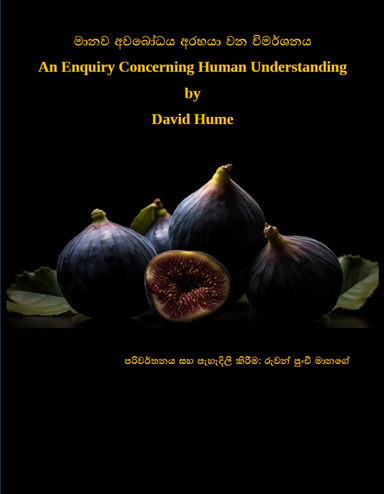An Enquiry concerning Human Understanding (Translation & Explanation)