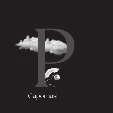 Image of Author P. Capomasi