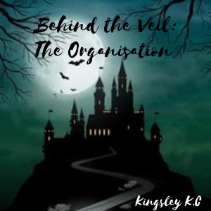 Behind the Veil - the organisation