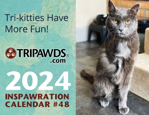 2024 Tripawds Calendar #48