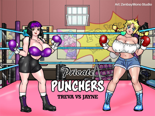 Private Punchers
