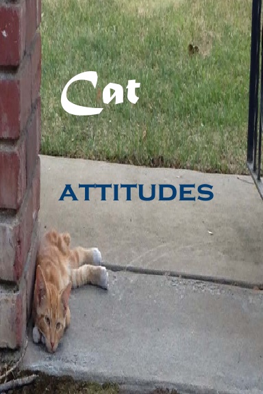 Cat Attitudes Journal