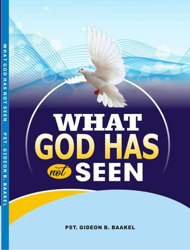 What God Has Not Seen