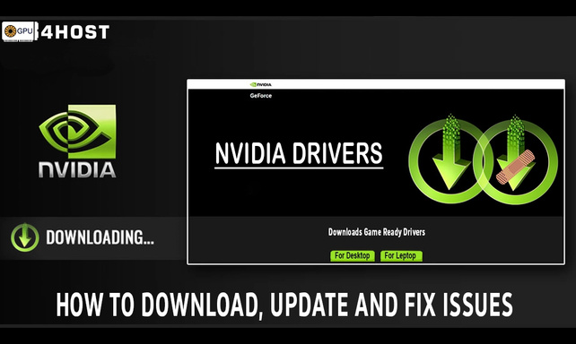 NVIDIA Drivers: How to Download, Update, and Fix Issues