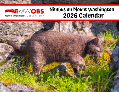 Nimbus on Mt Washington 2026