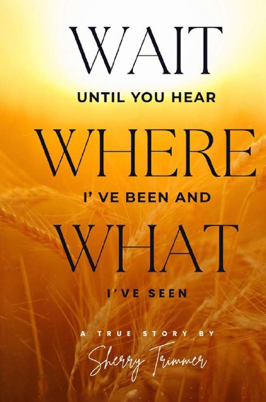 Wait Until You Hear Where I've Been And What I've Seen