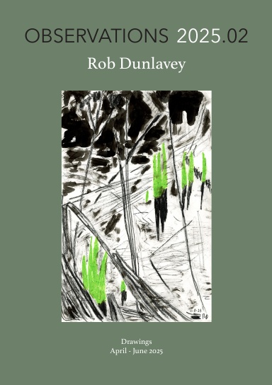 OBSERVATIONS 2025.02