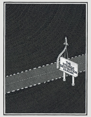 The Strange Destination