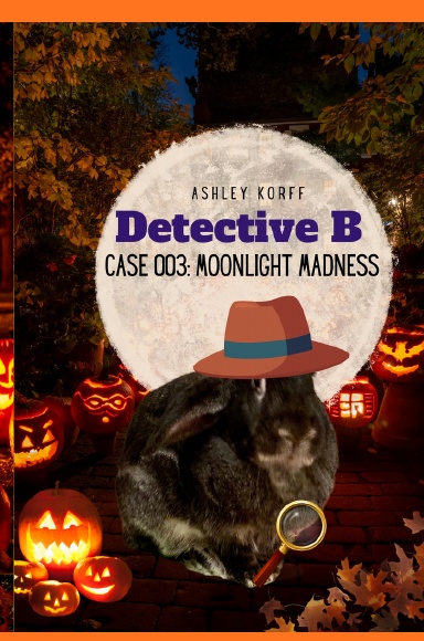 Detective B: Case 003: Moonlight Madness Hardcover Book