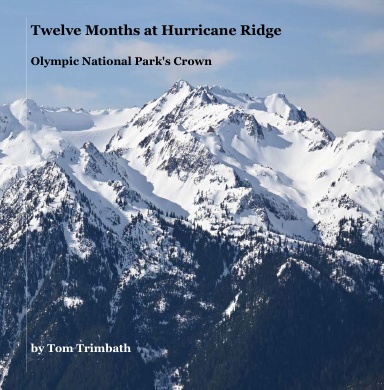 Twelve Months at Hurricane Ridge