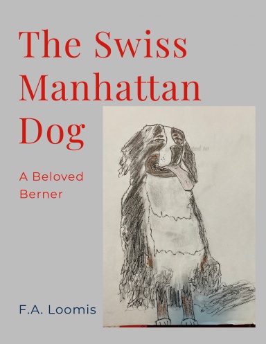 The Swiss Manhattan Dog
