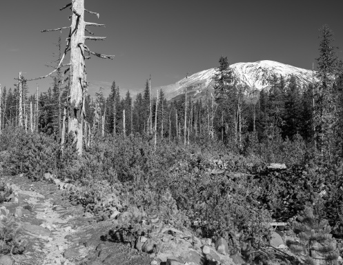 PNW 2026