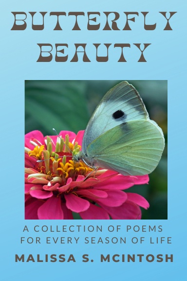 Butterfly Beauty