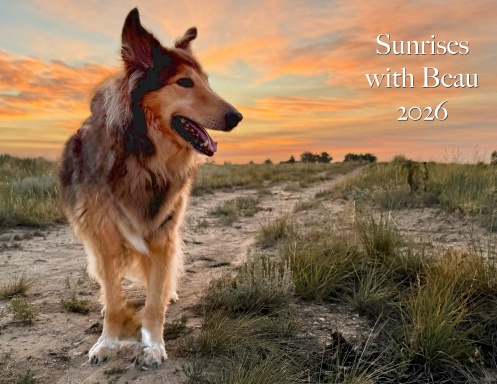 Sunrises with Beau 2026