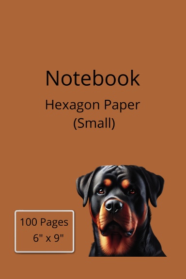 Notebook Hexagon Paper(Small), 100 Pages, 6" x 9"